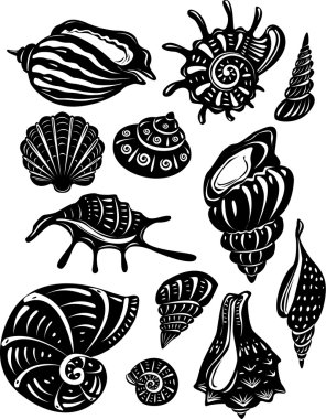 Set of decorative shell