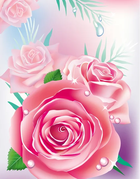 Card with pink roses — Stock Vector