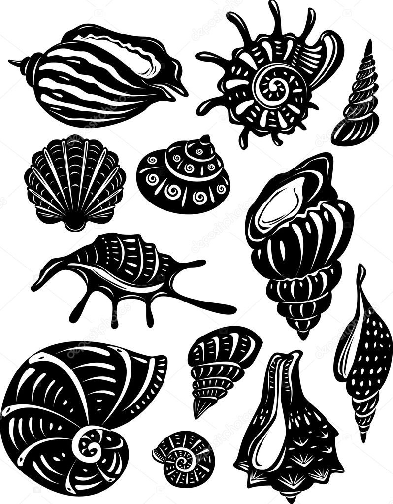 Set of decorative shell