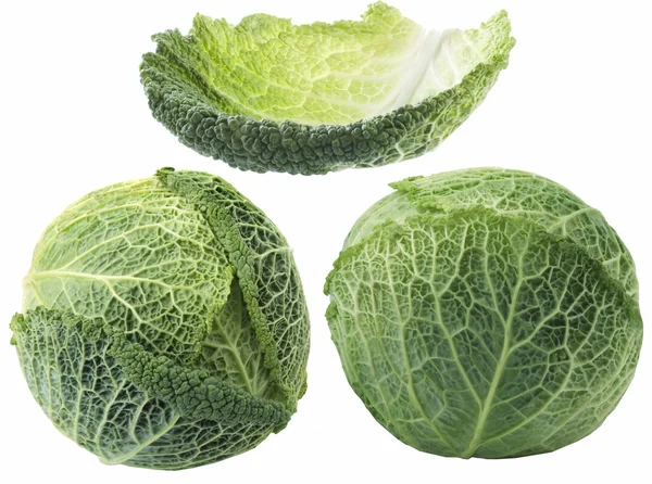 Savoy cabbage — Stock Photo, Image