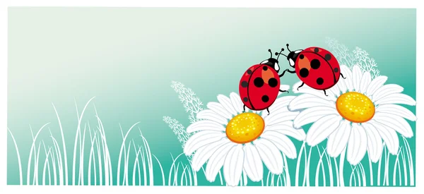 Papatya çayı üzerinde iki ladybirds — Stok Vektör