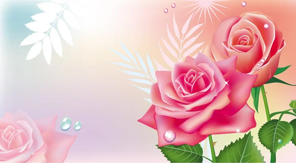 Cartão com rosas rosa — Vetor de Stock