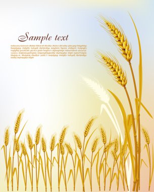 Background with wheat clipart