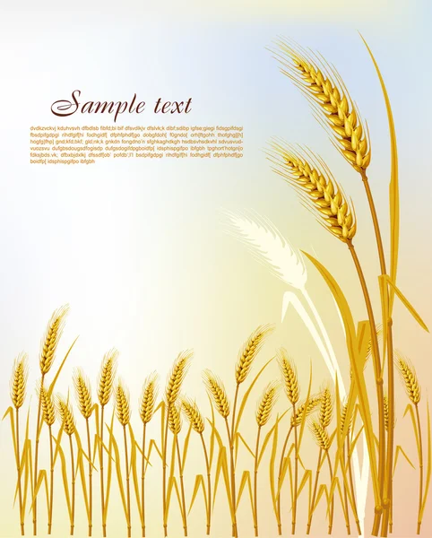Contexte avec le blé — Image vectorielle
