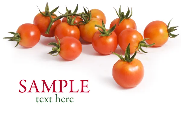 ? Cicci tomater — Stockfoto
