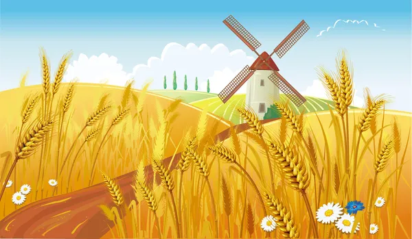 Ländliche Landschaft mit Windmühle — Stockvektor
