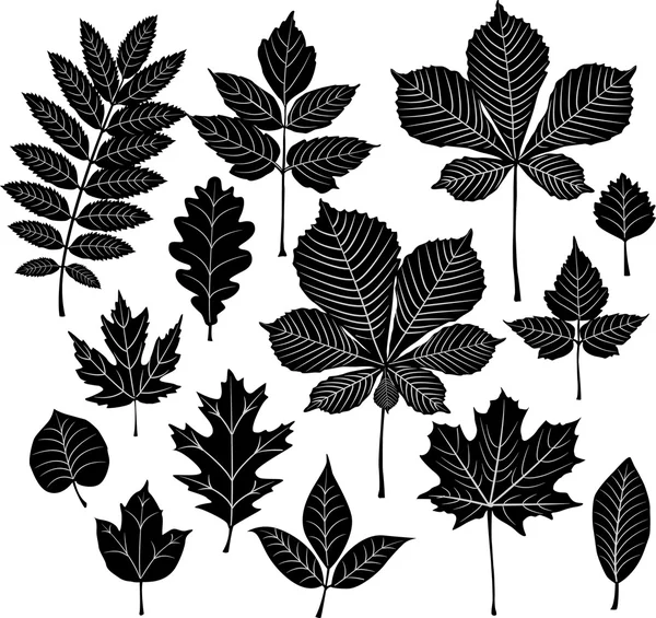 Ensemble de feuilles de silhouette — Image vectorielle