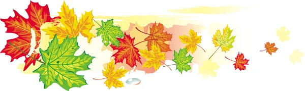 Banner colorido de hojas de arce — Vector de stock