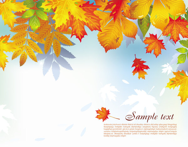 Background from autumn leaves