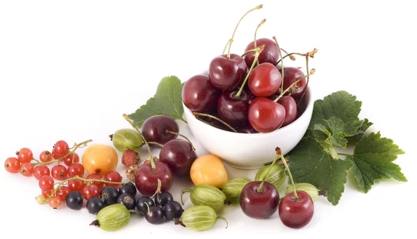 Mieszanych owoców jagodowych — Zdjęcie stockowe