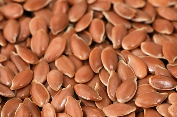 Linseed — Stock Photo, Image