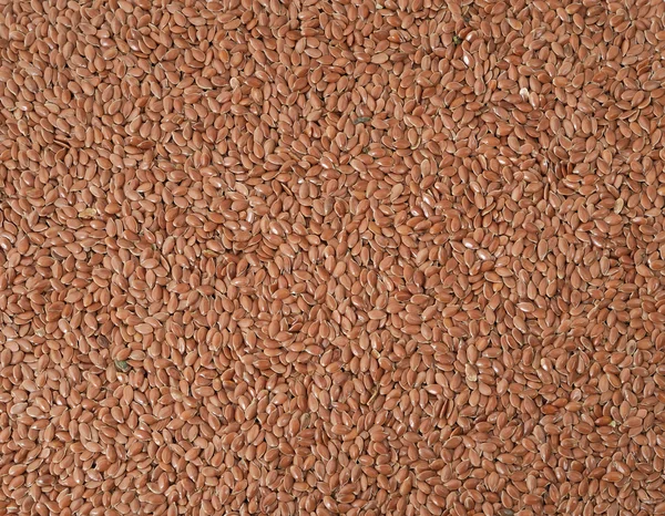 Linseed, — Stock Photo, Image