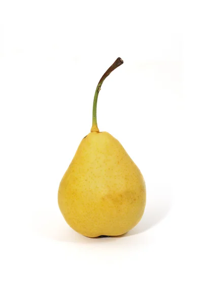 William pear — Stock Photo, Image
