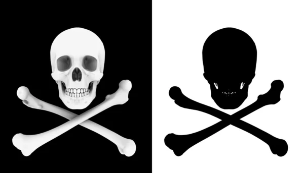Cráneo y huesos — Foto de Stock