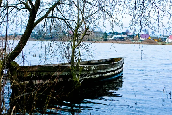 Boot auf einem Teich — Stockfoto