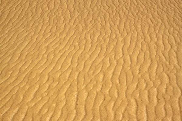 Colours of desert — Stock Photo, Image