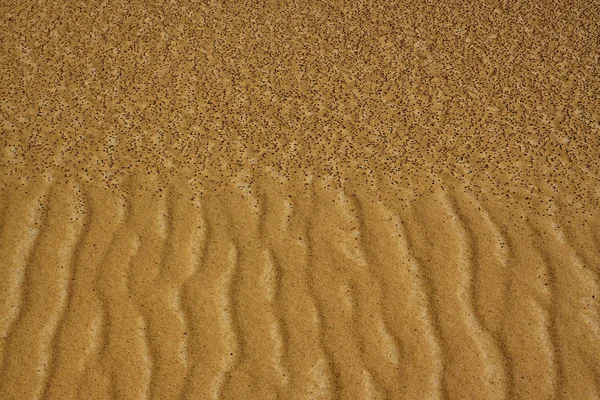 Színek, a sivatag — Stock Fotó