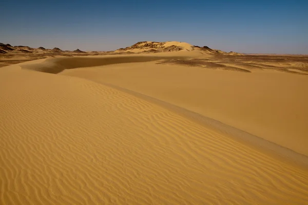 砂漠の色 — ストック写真