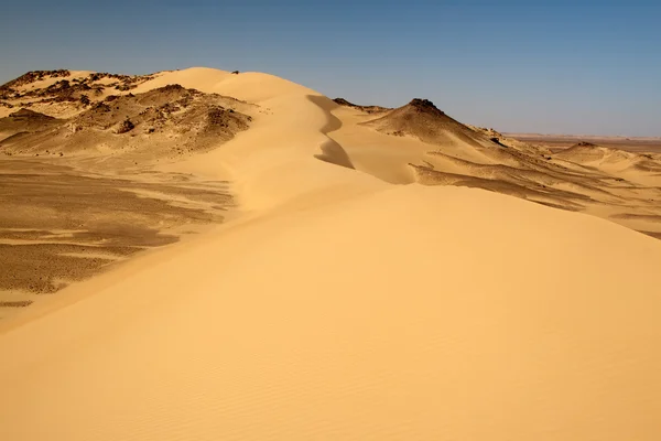 Colours of desert — Stock Photo, Image