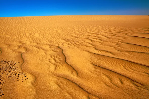 砂漠の色 — ストック写真