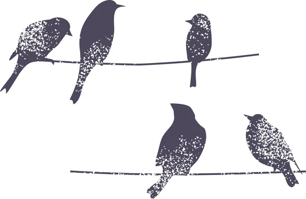 Ptáci na větvi. — Stockový vektor
