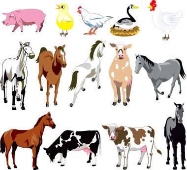 Farm Animals clipart