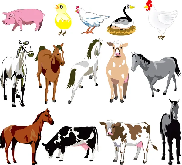 Farm Animals — Stock Vector