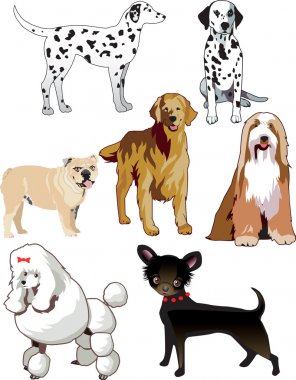 Dogs clipart