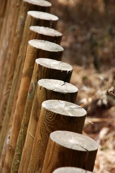 Pólos em uma cerca — Fotografia de Stock