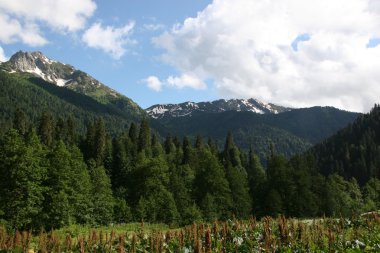 Abhazya'nın Dağları.