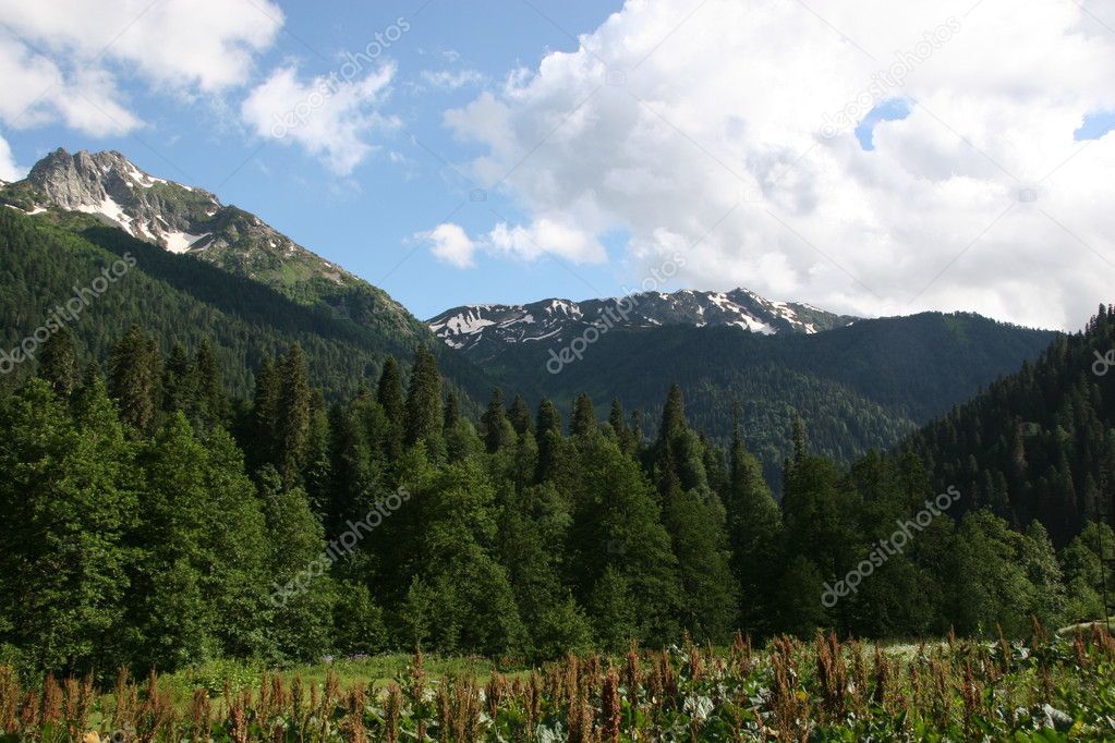 Mountains of Abkhazia.