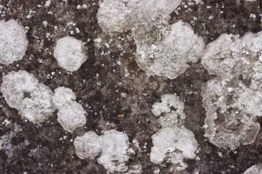 kirli grunge stonetexture