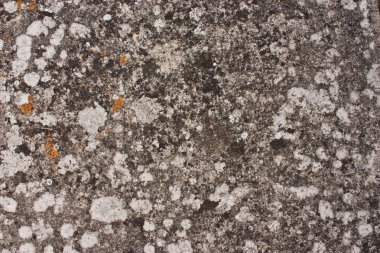 kirli grunge stonetexture