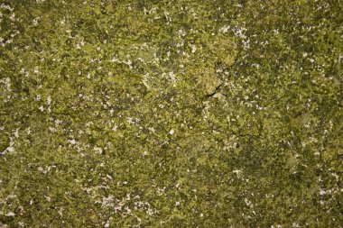 kirli grunge stonetexture