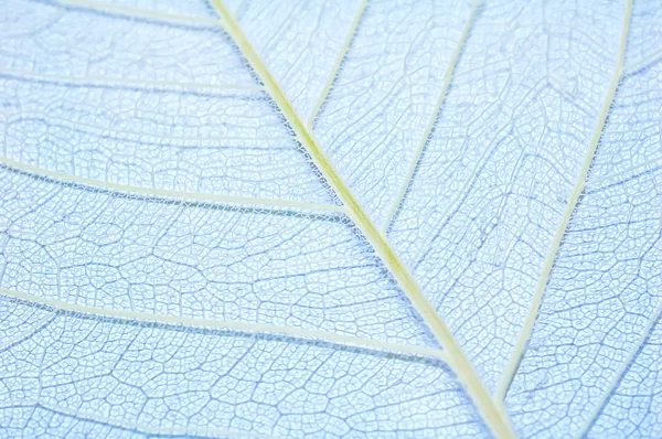 stock image Transparent sheet