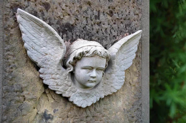 Little stone angel — Stock Photo, Image