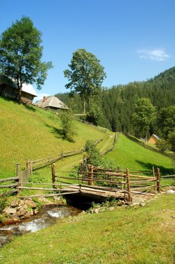 Landscape of Carpathians clipart