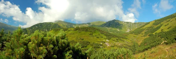 stock image Landscape of Carpathians