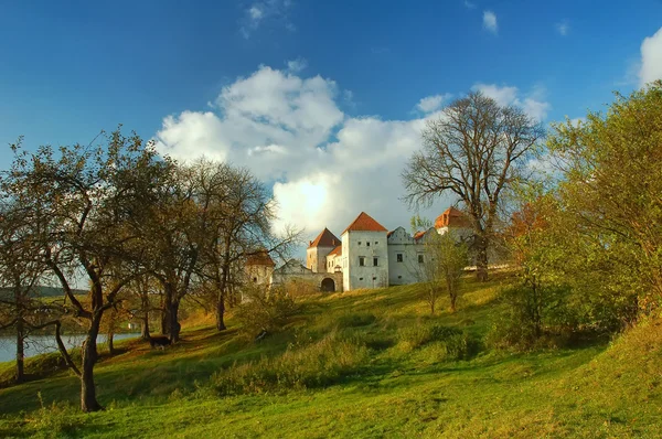 Stock image Old Castle