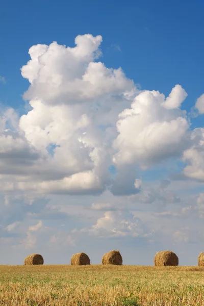 stock image Haystacks