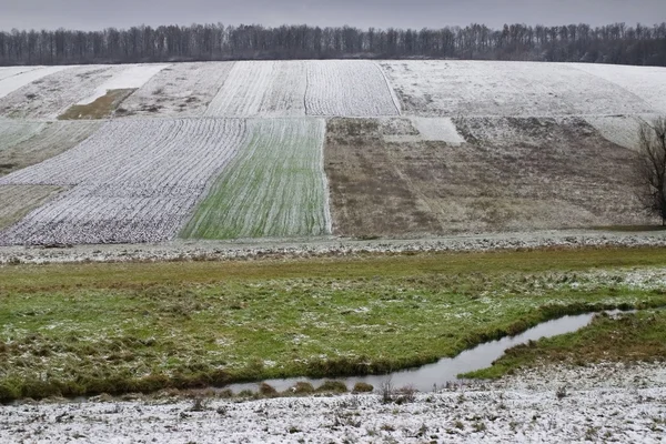 Winter velden — Stockfoto
