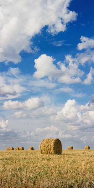 Stock image Haystacks