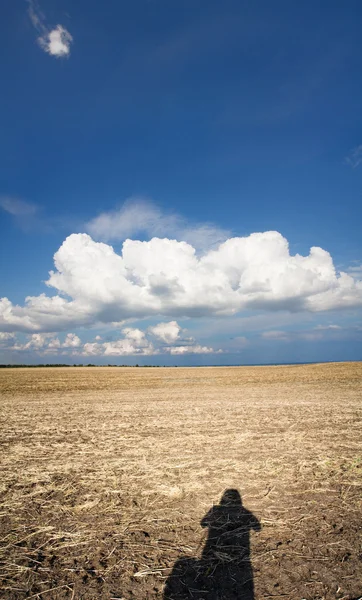 Cosecha — Foto de Stock