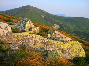 Plants on the stones, mountains clipart