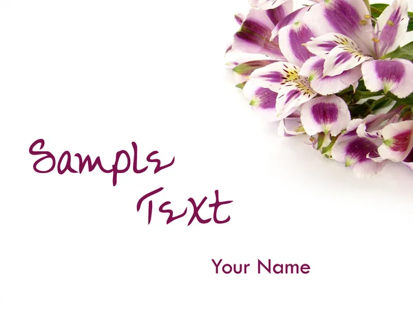 Karta kwiaty białe i fioletowe tło — Zdjęcie stockowe
