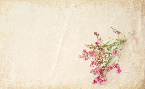 Grunge küçük pembe çiçekler arka plan — Stok fotoğraf