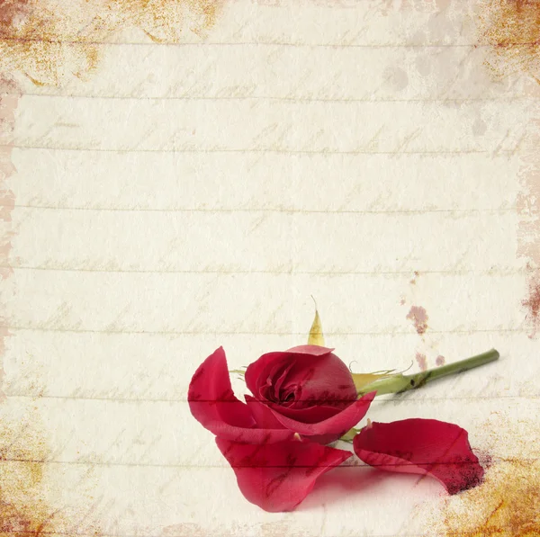 Červená růže vinobraní karta — Stock fotografie