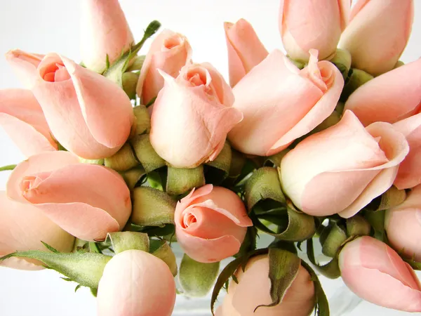 Kis rózsaszín rózsa csokor — Stock Fotó