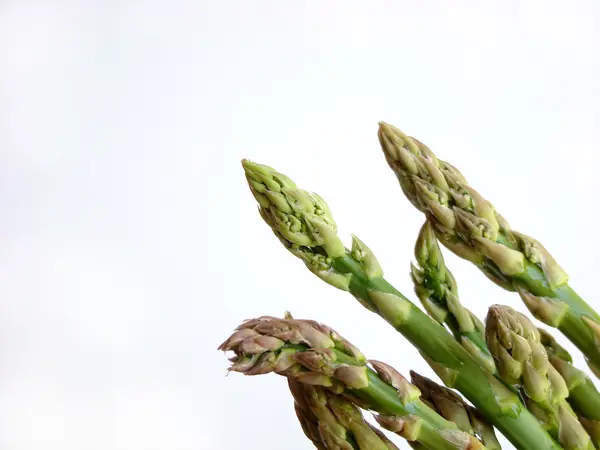 stock image Asparagus