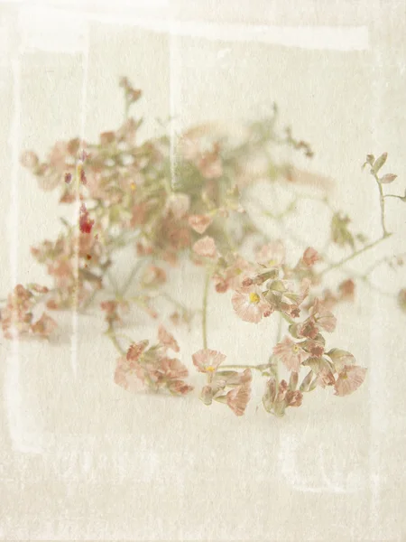 Vintage fond floral — Photo